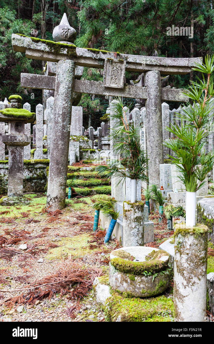 Le Japon, Koyasan, Okunoin cemetery. Étapes avec torri gate, menant à une petite clairière dans la forêt de cèdre avec de la mousse recouverte de pierres tombales et de monuments de pierres. Banque D'Images