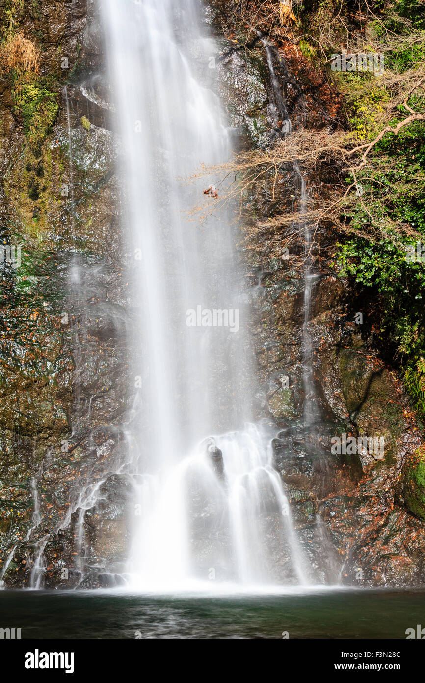 Japonais célèbre chute d'eau à Mino, ou Minoh, près d'Osaka. Close up de partie inférieure de la chute, car elle frappe les rochers au bas de sa chute. Douce et soyeuse. Banque D'Images