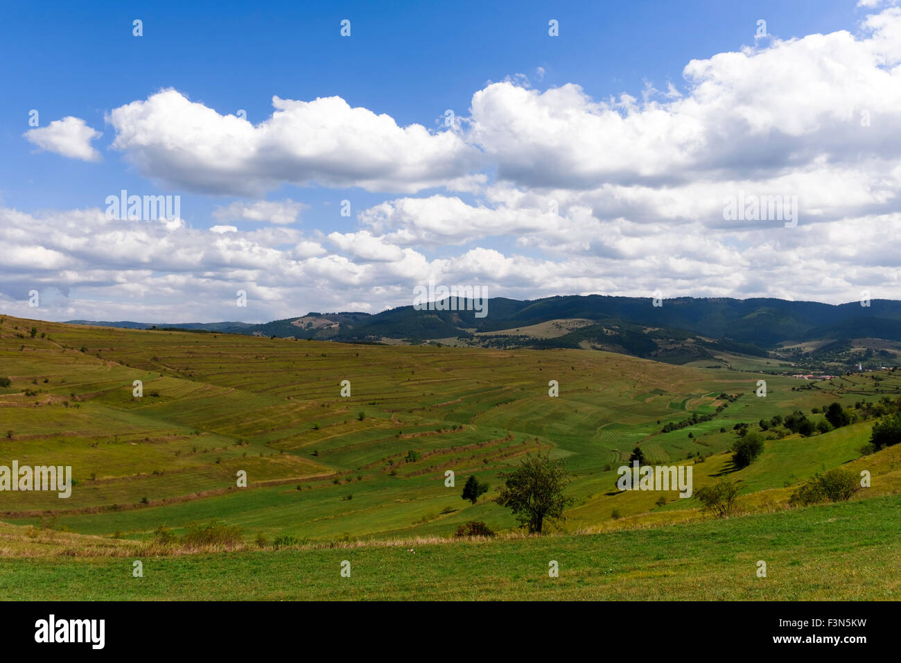 Automne paysage vert et bleu, les collines et la vallée, les montagnes, ciel bleu et nuages blancs. La Roumanie, la Transylvanie, Maramures. Banque D'Images