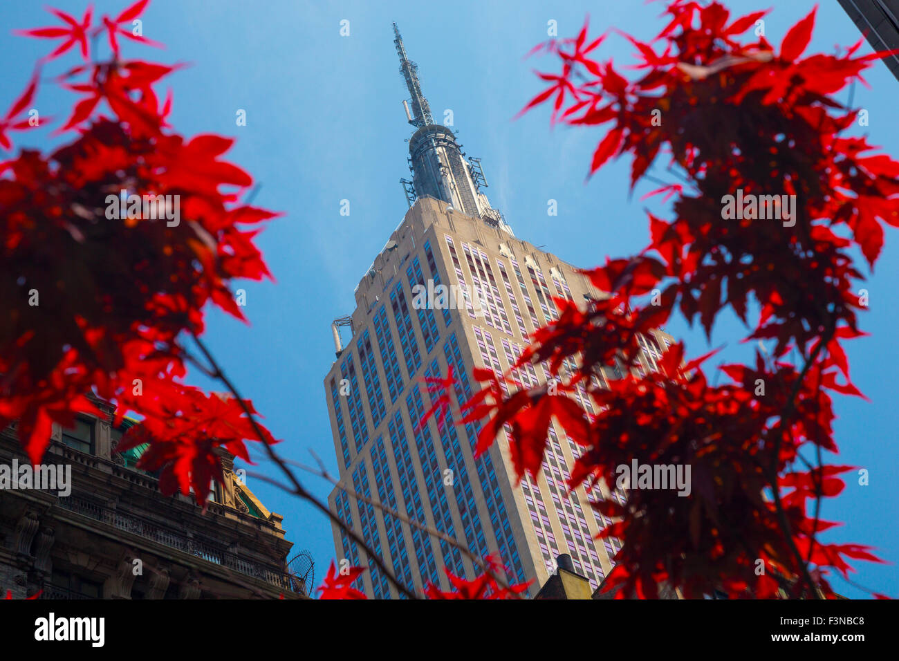 L'Empire State Building Midtown Manhattan, New York Banque D'Images