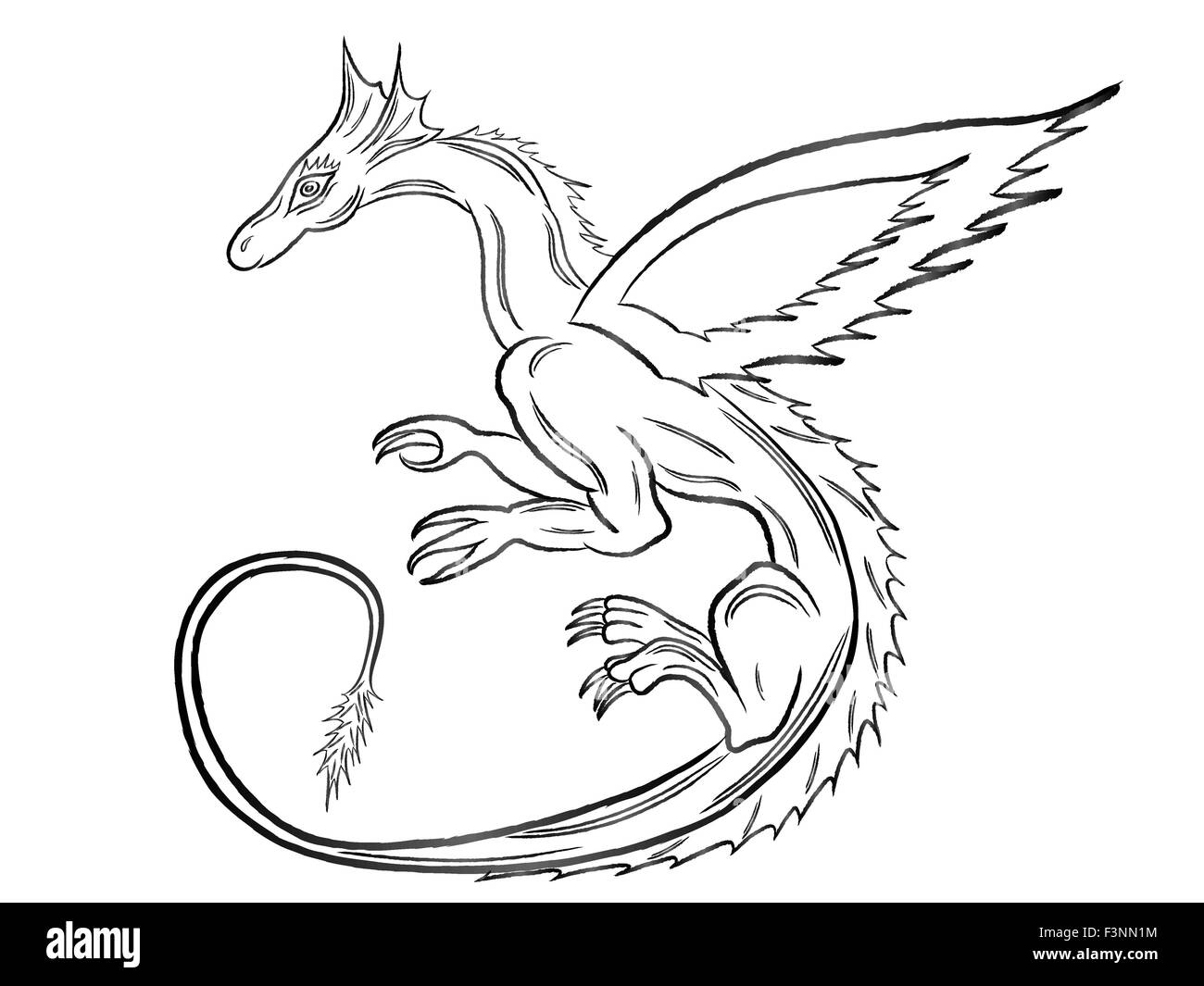 Dragon noir pendant le vol isolé sur fond blanc. Dessin à la main vector illustration Illustration de Vecteur
