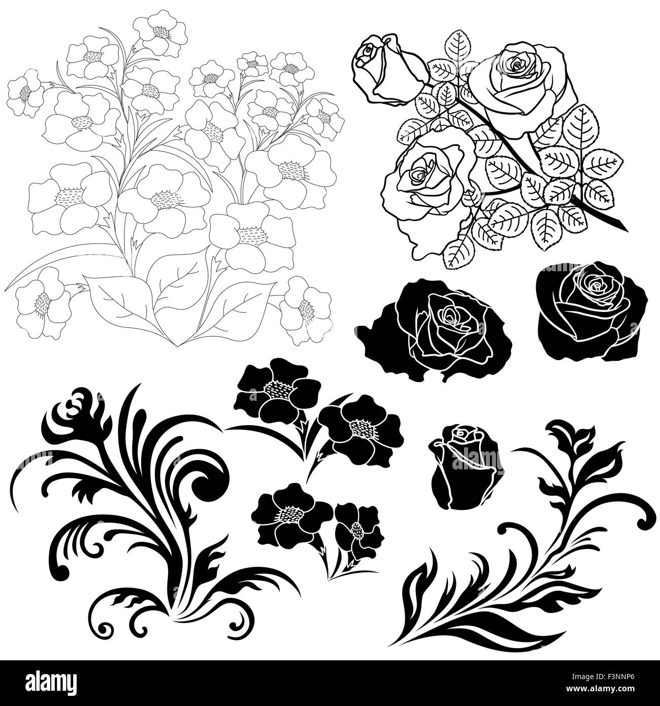 Ensemble d'éléments floraux isolés pour la conception d'illustration vectorielle, dessin à la main Illustration de Vecteur