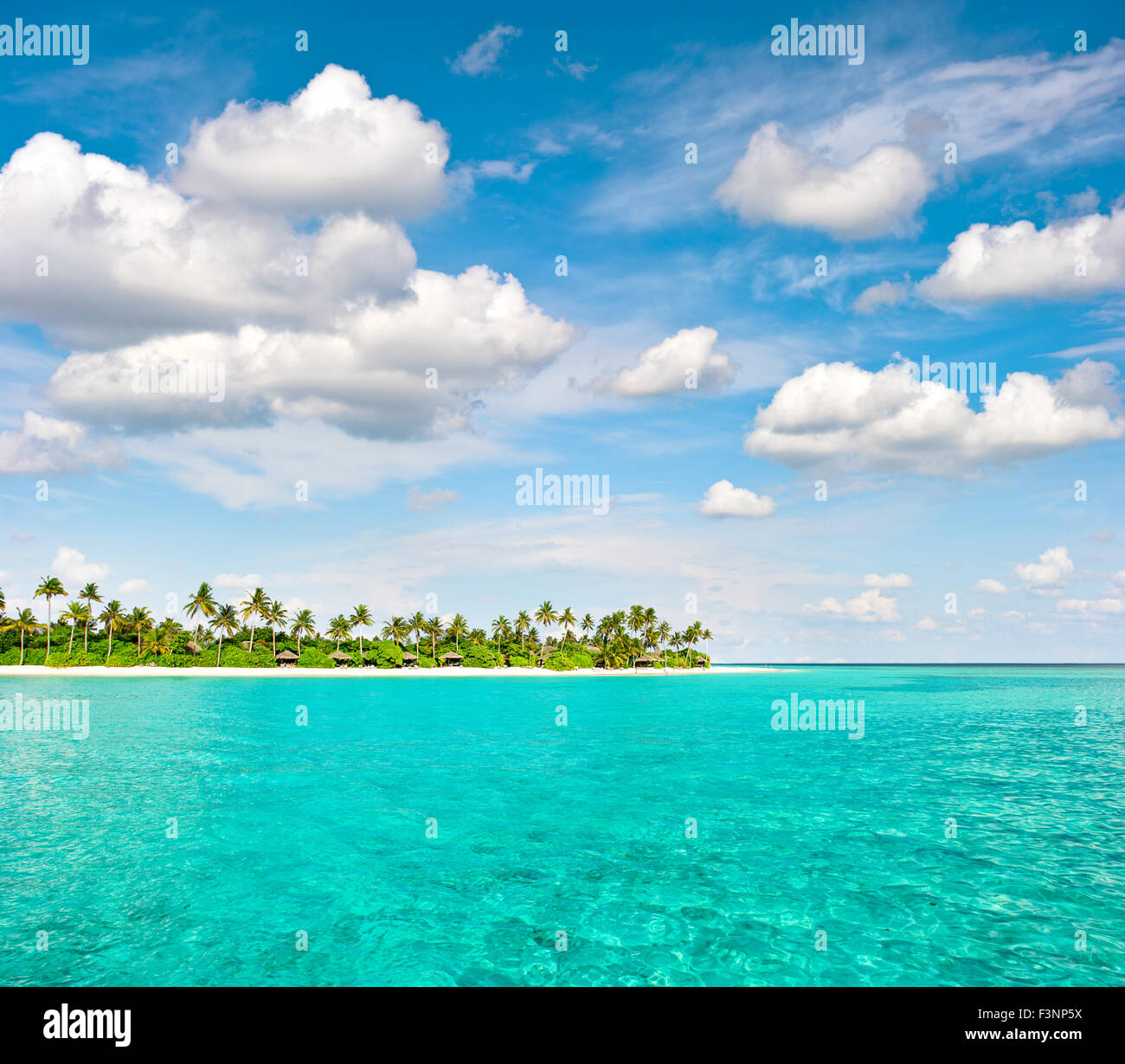 Plage de l'île tropicale avec palmiers et ciel nuageux ciel bleu. Nature Paysage Banque D'Images