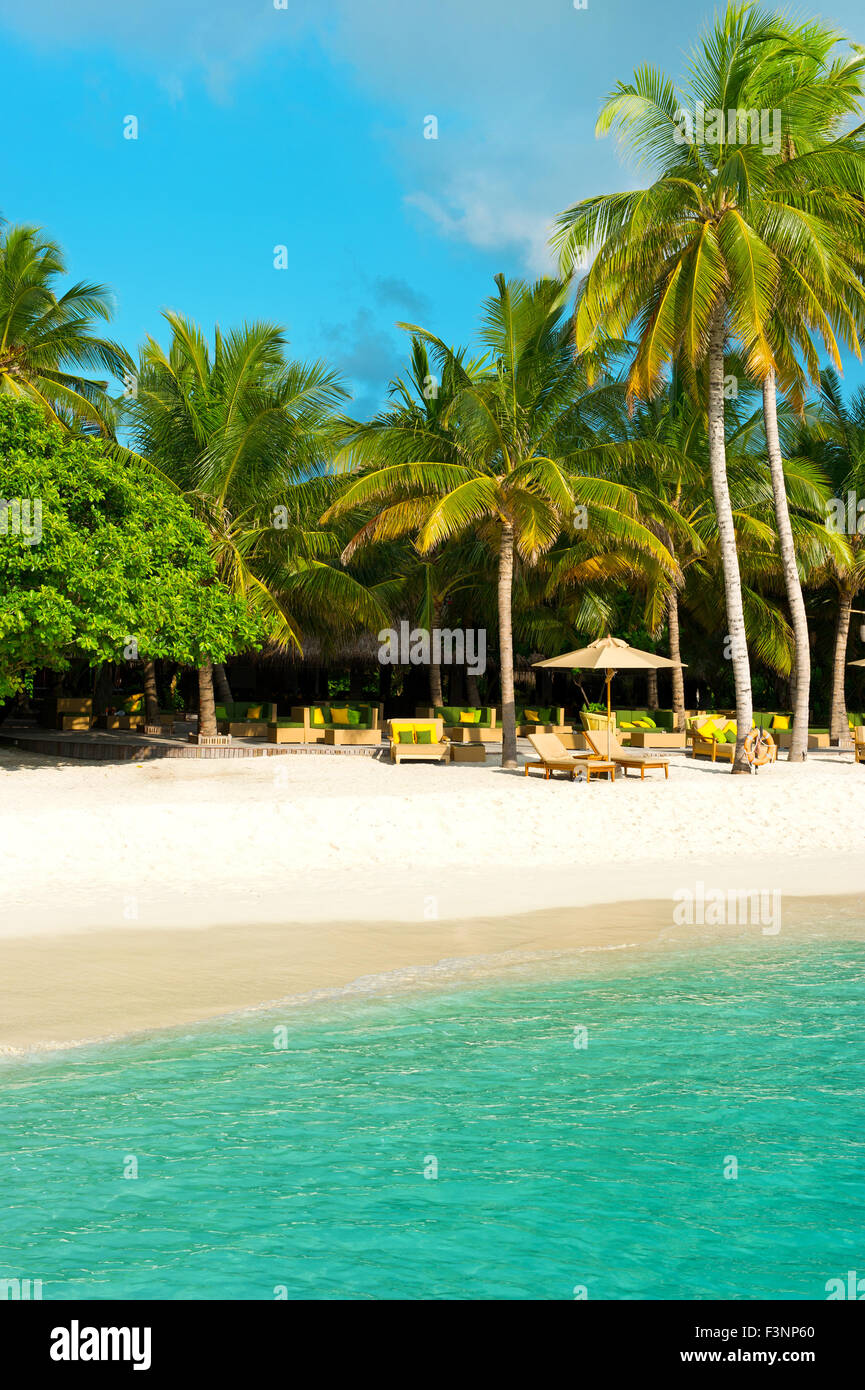 La plage de sable tropicale avec palmiers. Île de Maldives Banque D'Images