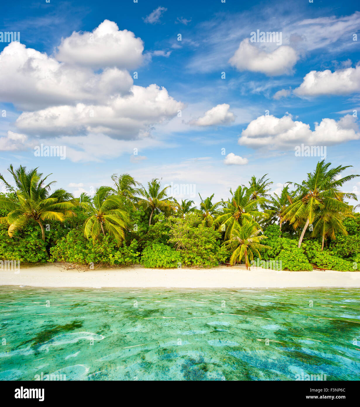 Plage de sable avec des palmiers et ciel nuageux ciel bleu. Paysage de l'île tropicale Banque D'Images