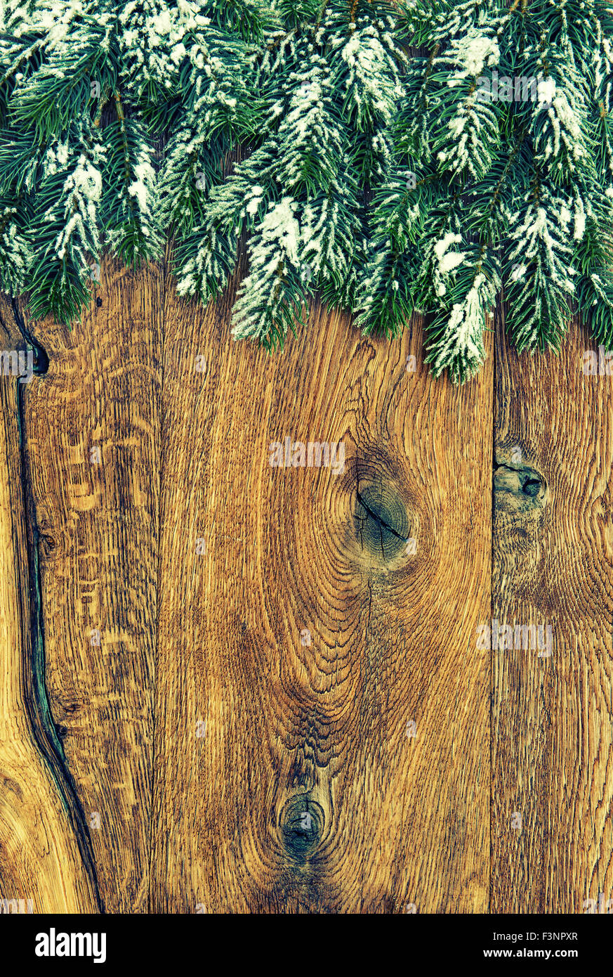 Les branches d'arbre de Noël avec de la neige sur fond de bois. Tons vintage photo Banque D'Images