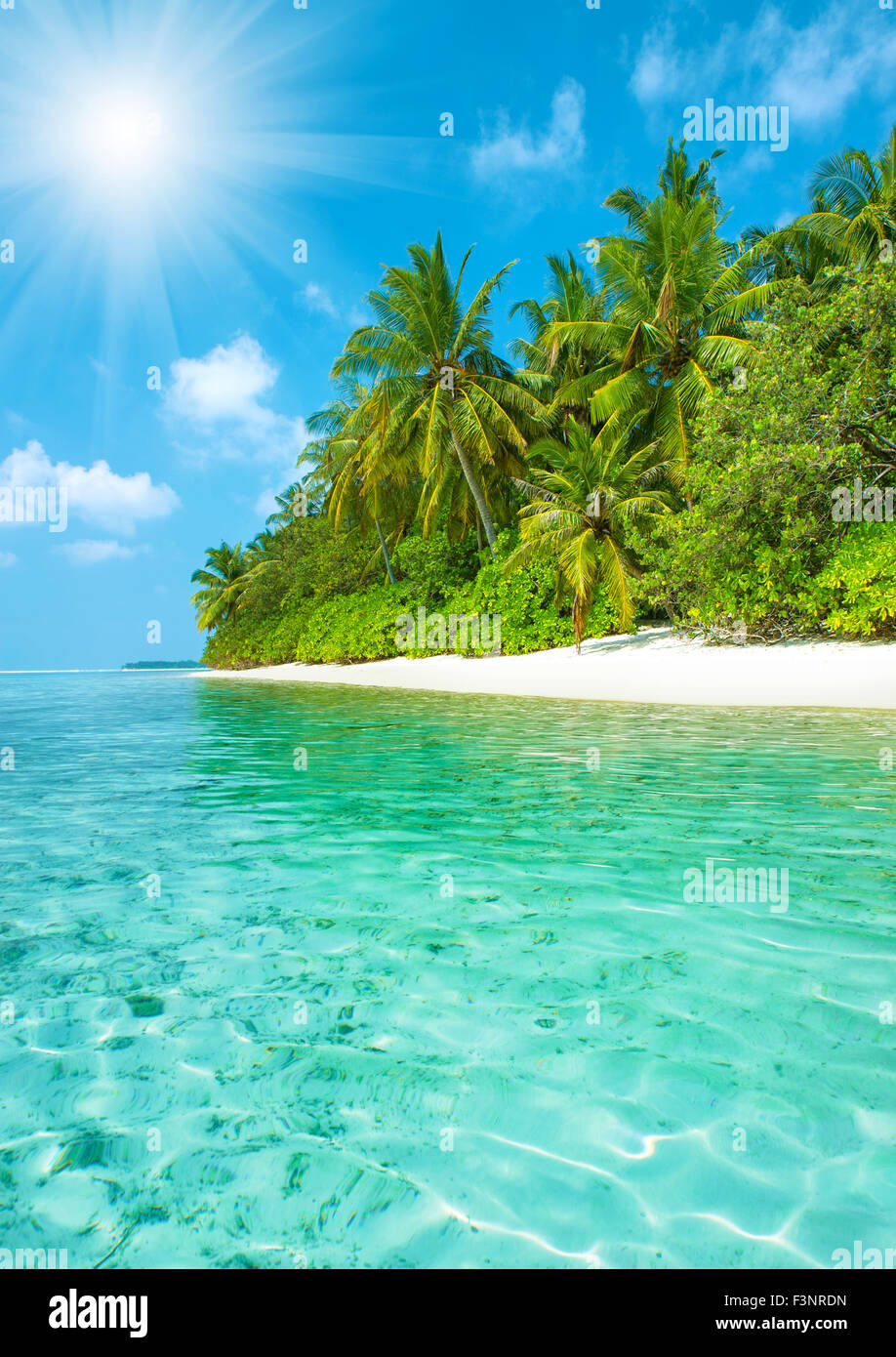 La plage de sable tropicale avec palmiers et ciel bleu parfait. Paradise Island landscape Banque D'Images