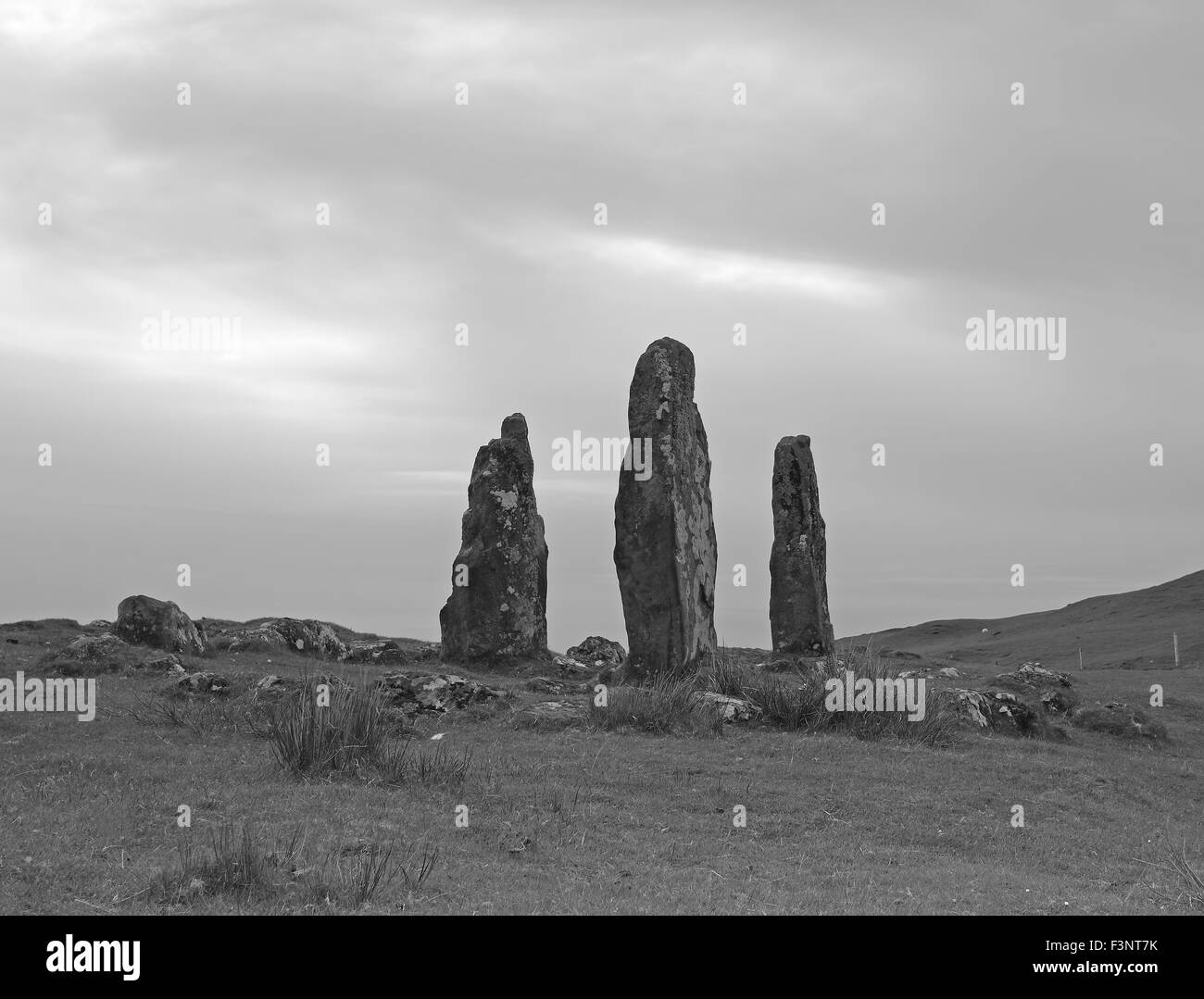 Glengorm Castle estate Standing Stones (en monochrome) Banque D'Images