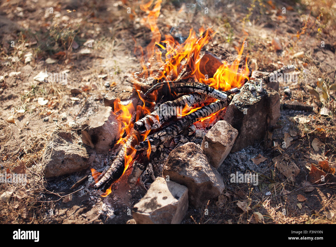 Feu dans la forêt d'automne. Les charbons de feu. Contexte Banque D'Images