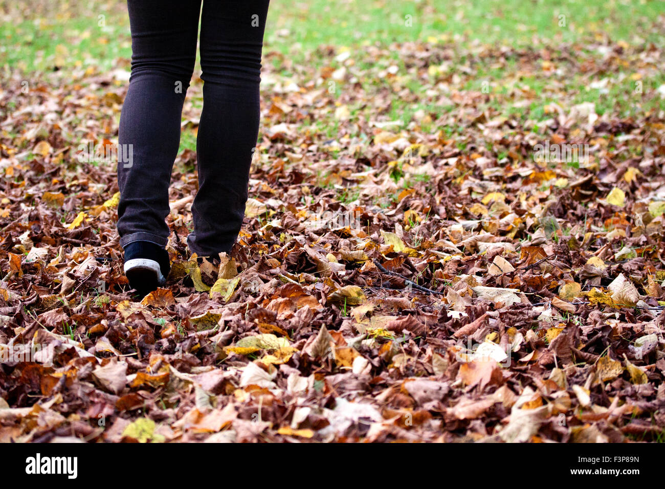 Une fille qui marche dans l'herbe par le biais de feuilles mortes Banque D'Images