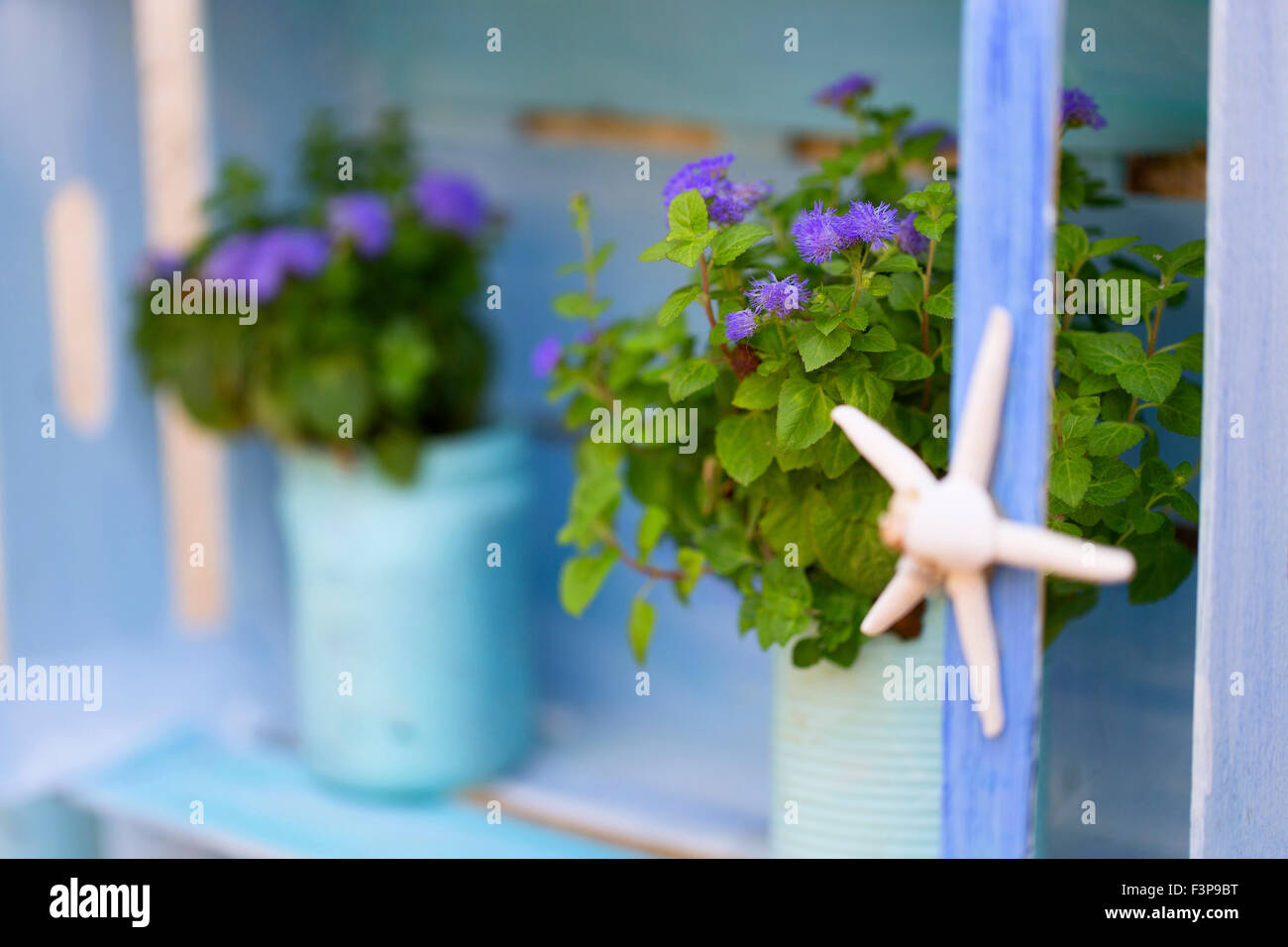 Décorations marines, de menthe et de cannettes, Campanie, Italie Banque D'Images