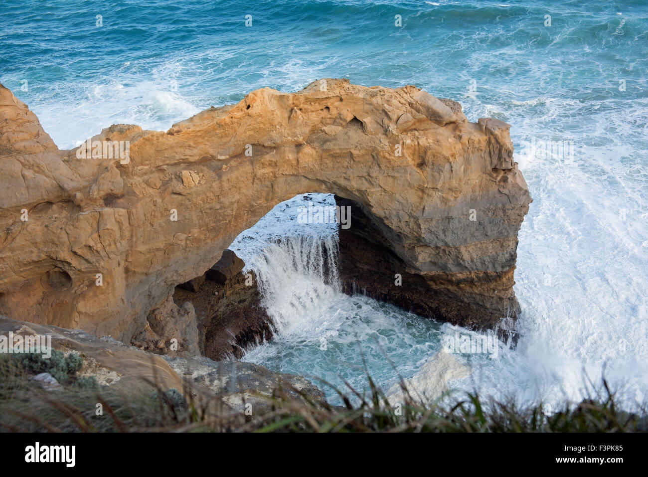 La formation de roche calcaire Arch, Great Ocean Road, Port Campbell National Park, Victoria, Australie Banque D'Images