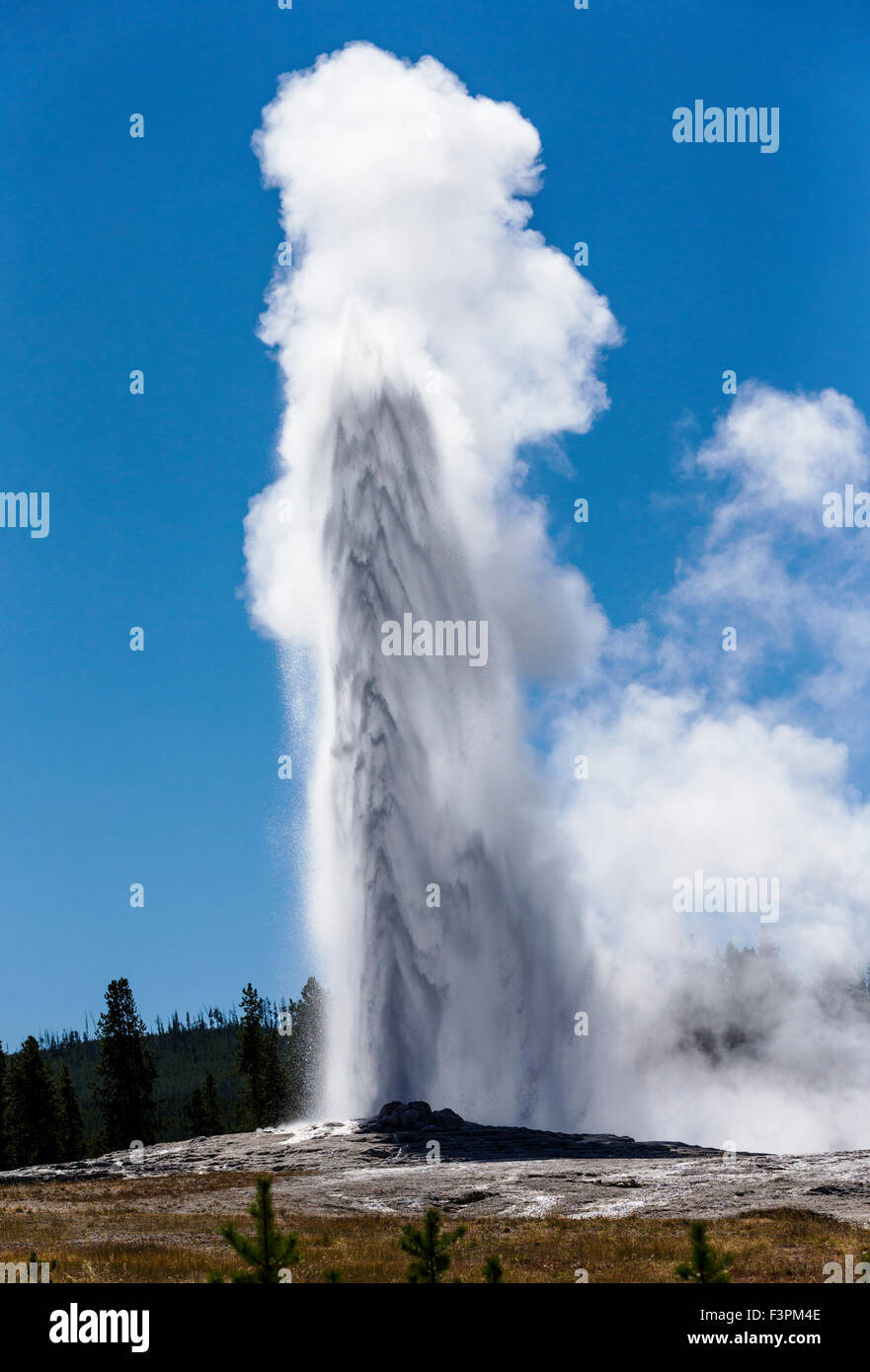 Old Faithful Geyser ; ; Parc National de Yellowstone, Wyoming, USA Banque D'Images