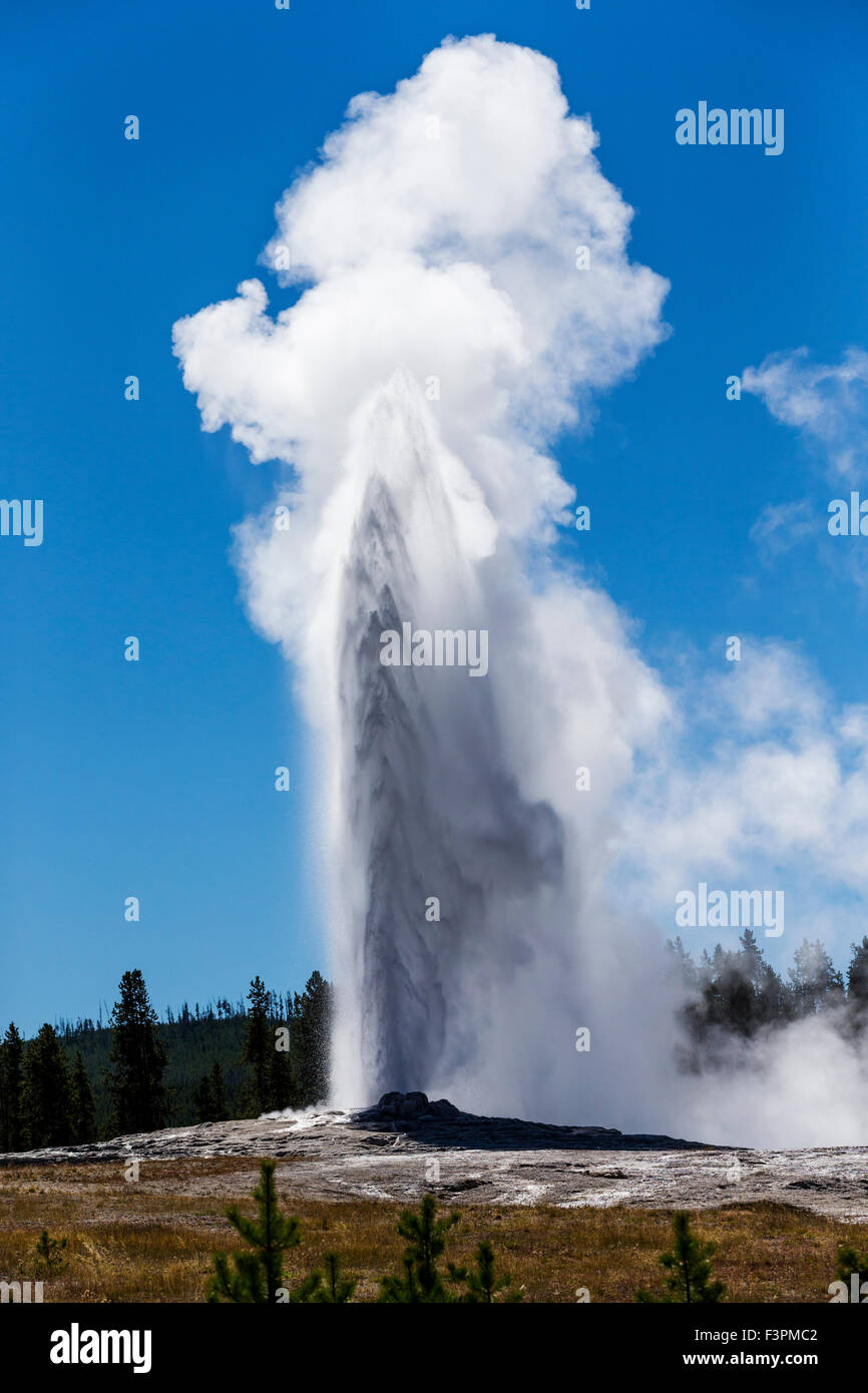 Old Faithful Geyser ; ; Parc National de Yellowstone, Wyoming, USA Banque D'Images