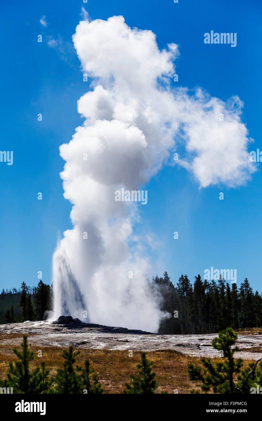 Old Faithful Geyser ; ; Parc National de Yellowstone, Wyoming, USA Banque D'Images