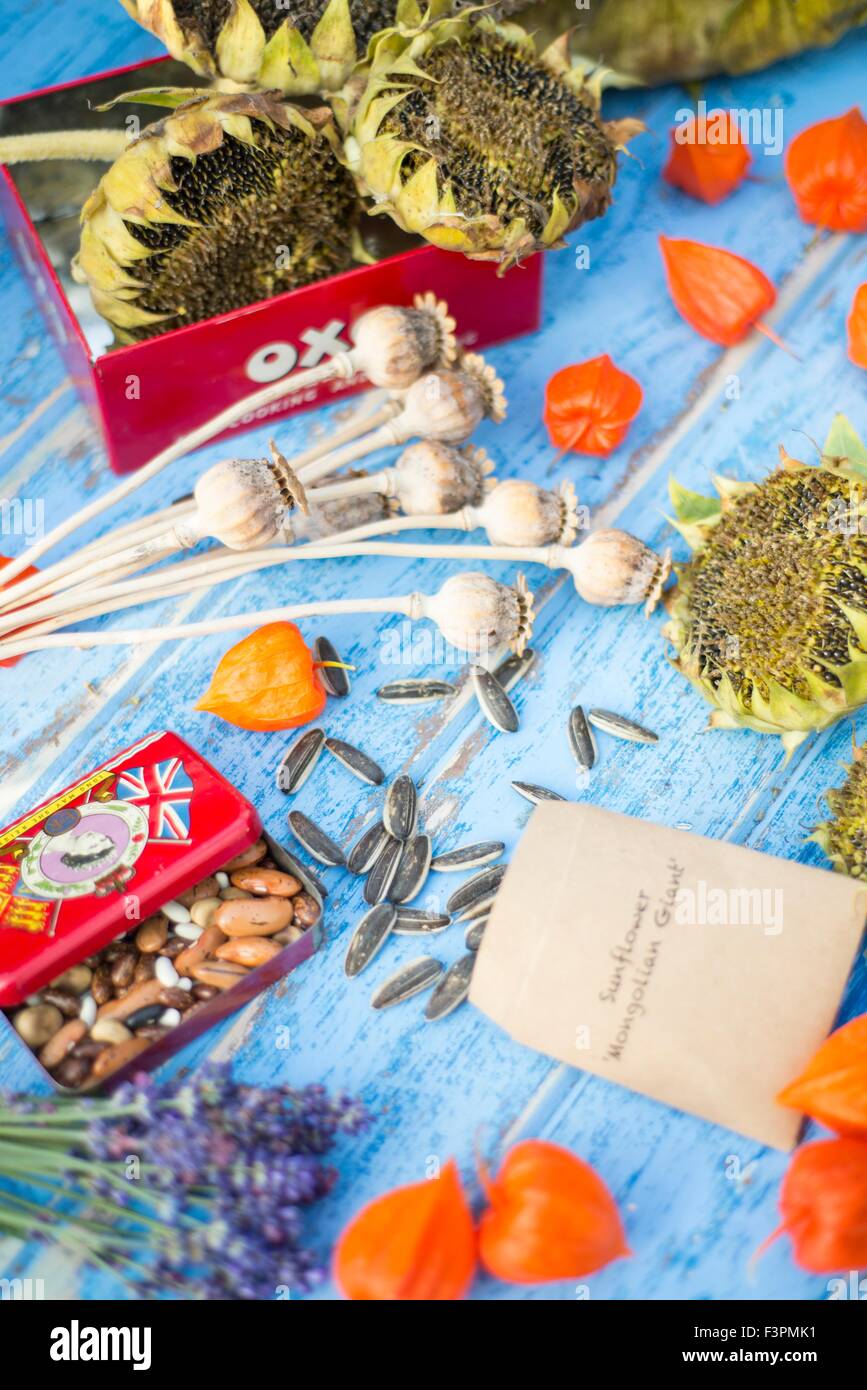 Jardin d'économiser les graines dans des enveloppes faites maison et conteneurs. vintage Banque D'Images