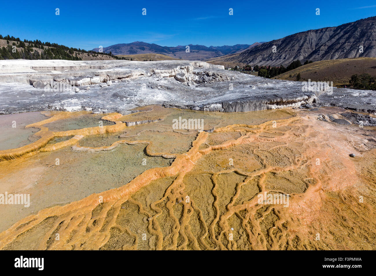 Mammoth Hot Springs, Parc National de Yellowstone, Wyoming, USA Banque D'Images