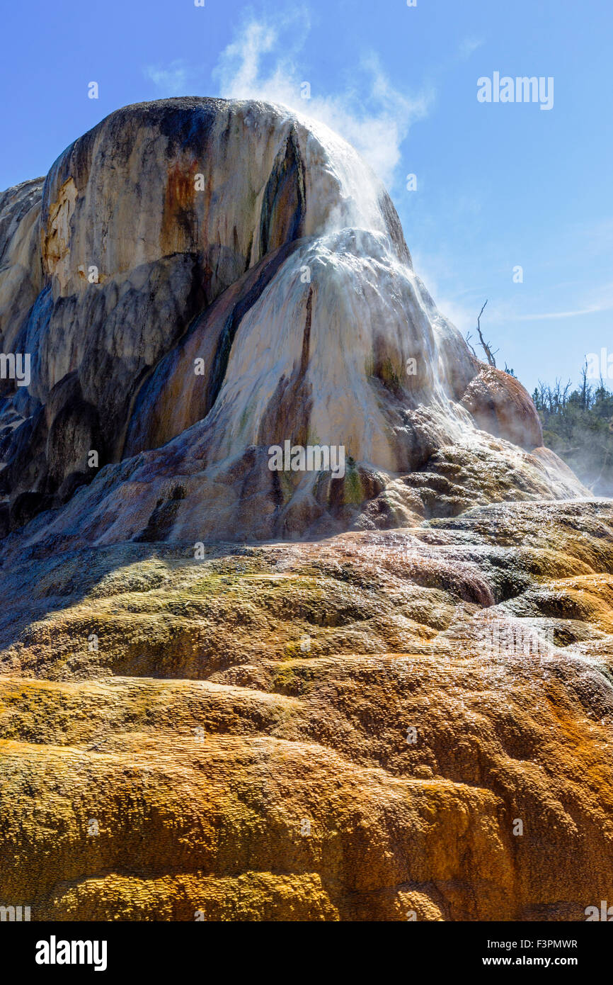 Printemps Orange Mound, Mammoth Hot Springs, Parc National de Yellowstone, Wyoming, USA Banque D'Images
