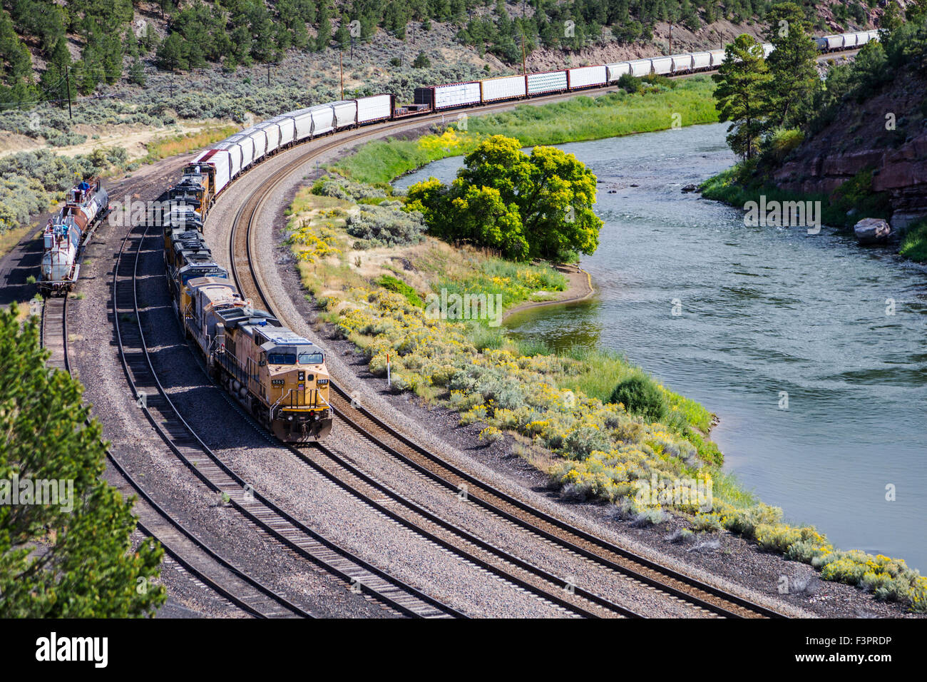 Union Pacific train de fret le long de la rivière Yampa ; nord-ouest du Colorado, USA Banque D'Images