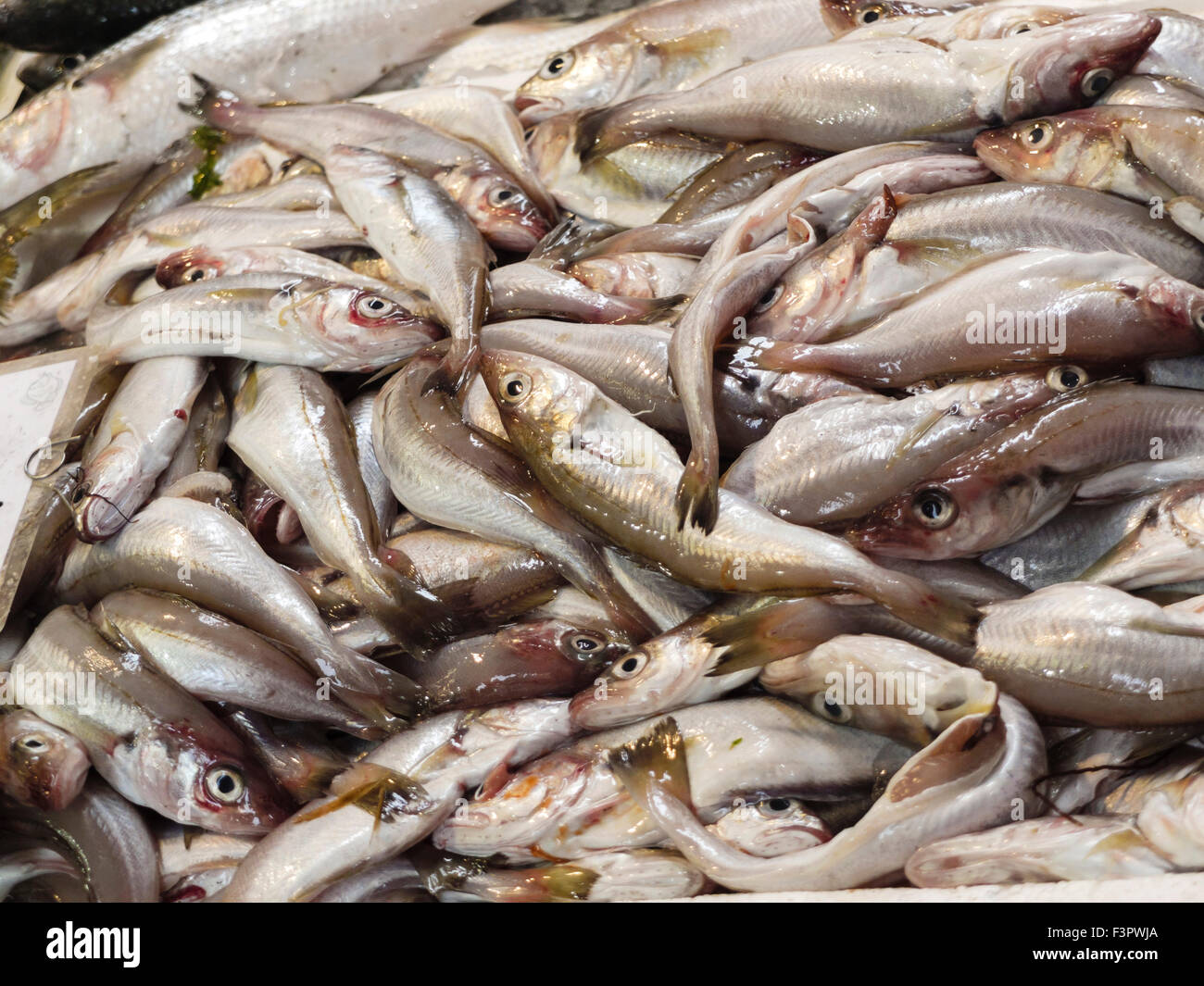 L'Italie, Émilie-Romagne, Bologne - vendeurs d'aliments sur le marché. Marché aux poissons. Banque D'Images