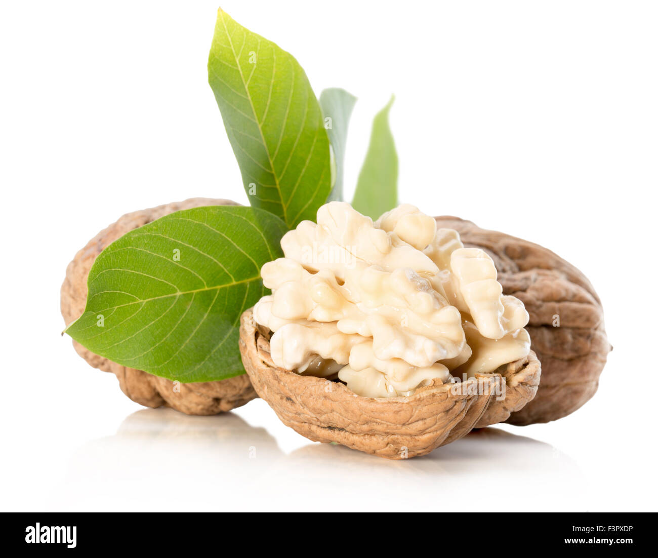Les noix avec des feuilles isolées sur fond blanc. Banque D'Images