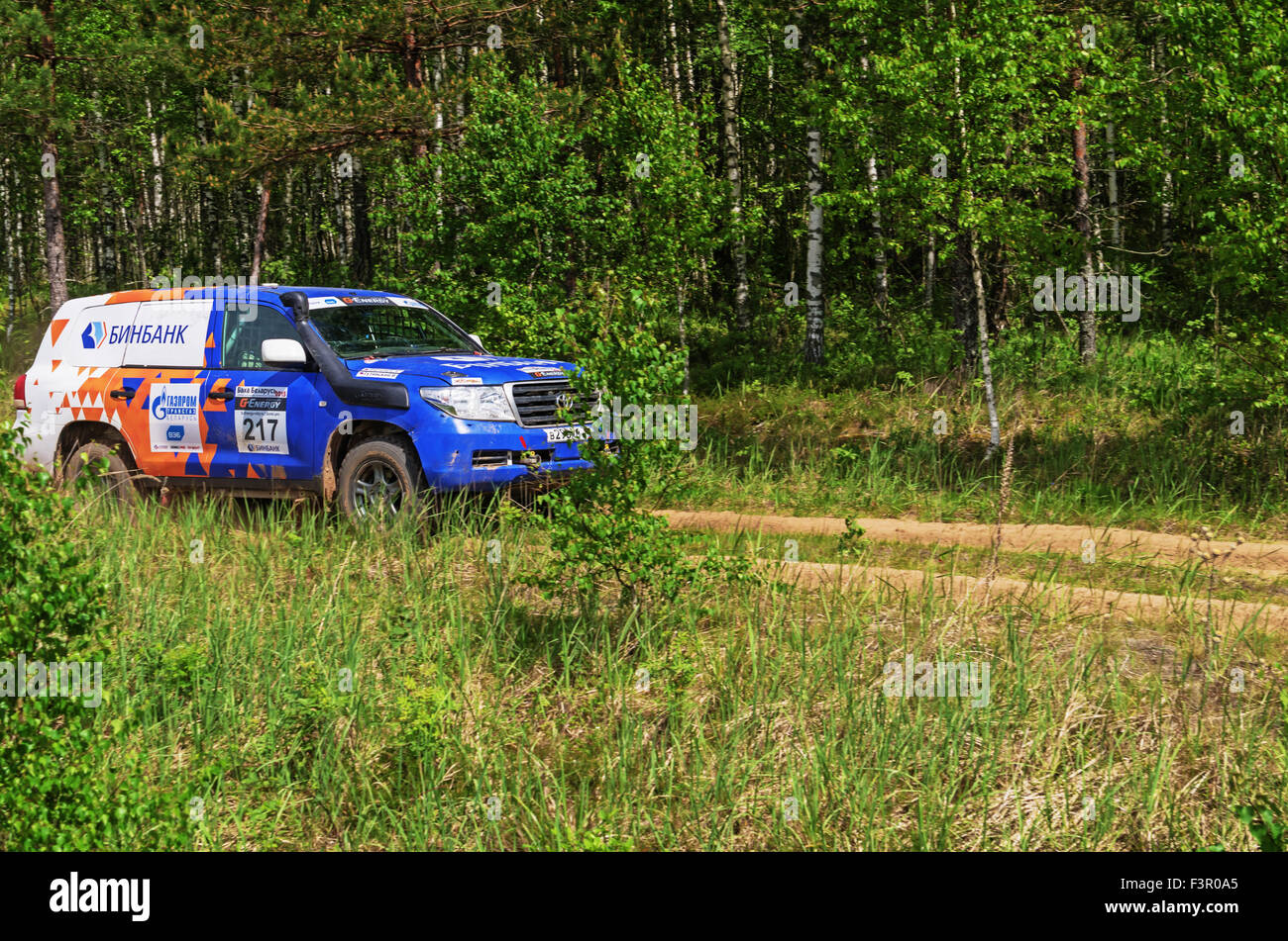 Courses sur un rallye-raid en forêt. Rallye-raid 'Baha Biélorussie' 2015 - deuxième jour. Banque D'Images