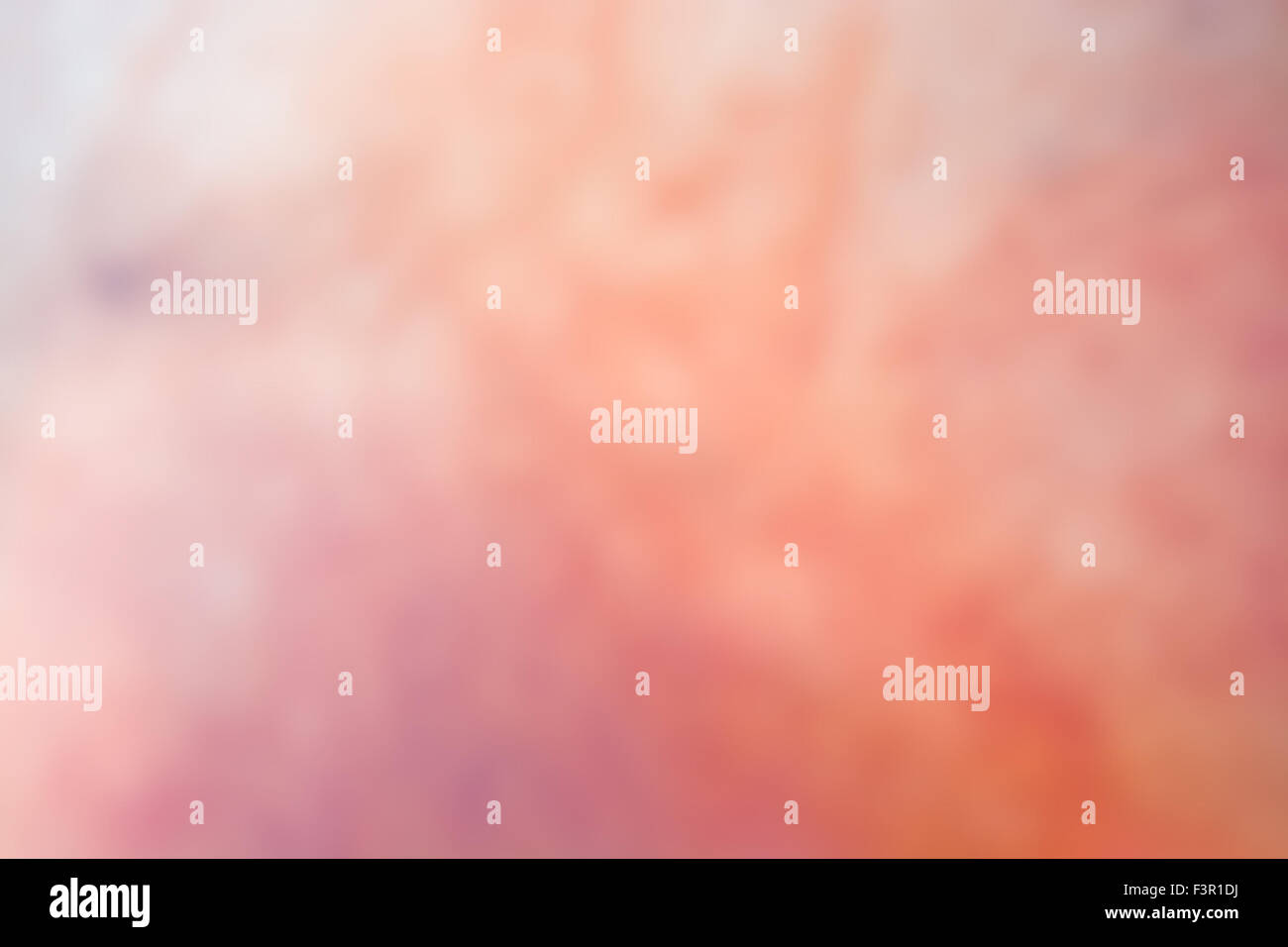 Les tons orange et rose tendre l'arrière-plan flou Banque D'Images