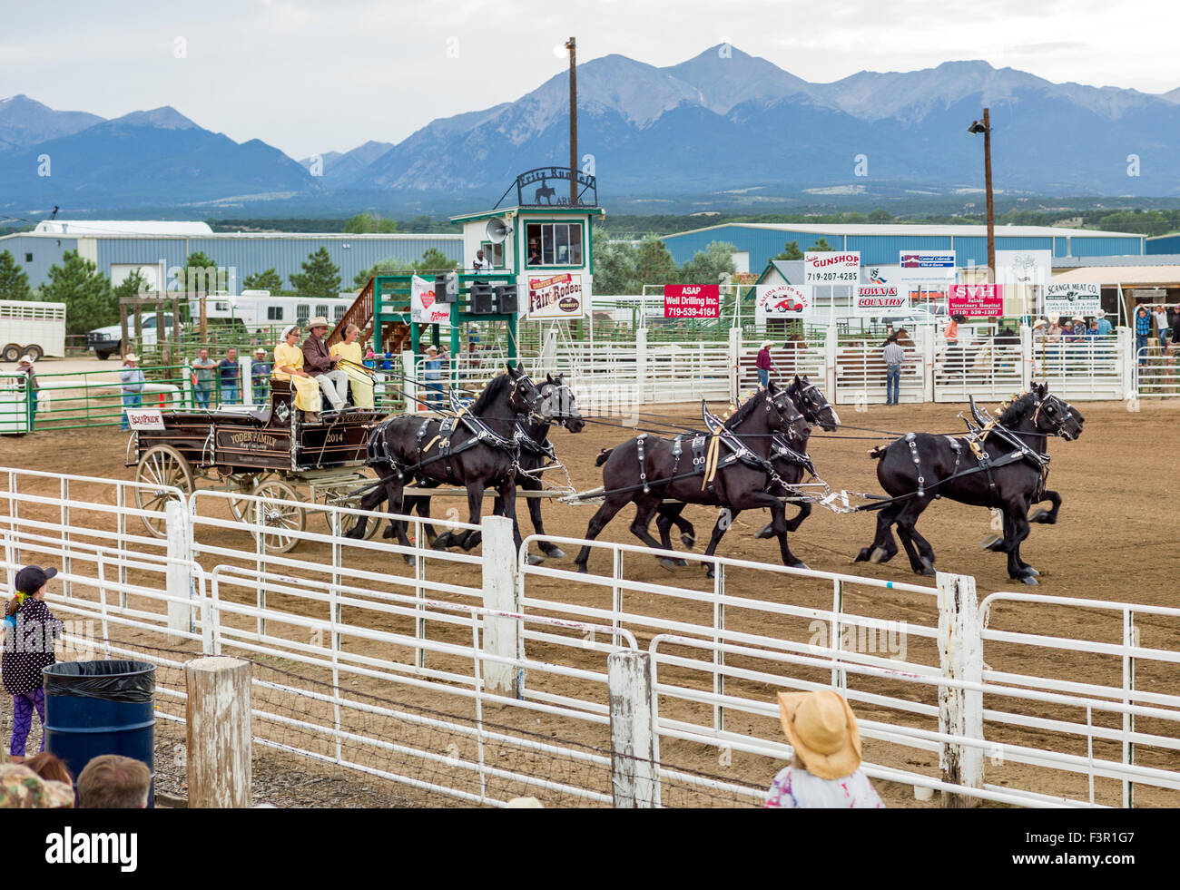 Famille Yoder, Amish, défilé dans leur chariot, tiré par six chevaux percherons, Chaffee County Fair & Rodeo, Salida, Colorado, USA Banque D'Images