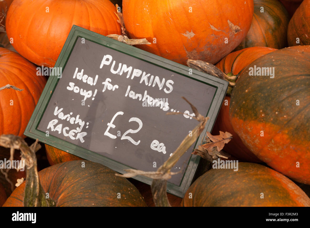 Signe pour les fruits ou légumes citrouille à vendre comme des aliments (pour la soupe) ou comme pour les fêtes d'automne de lanternes à l'Hallowe Banque D'Images