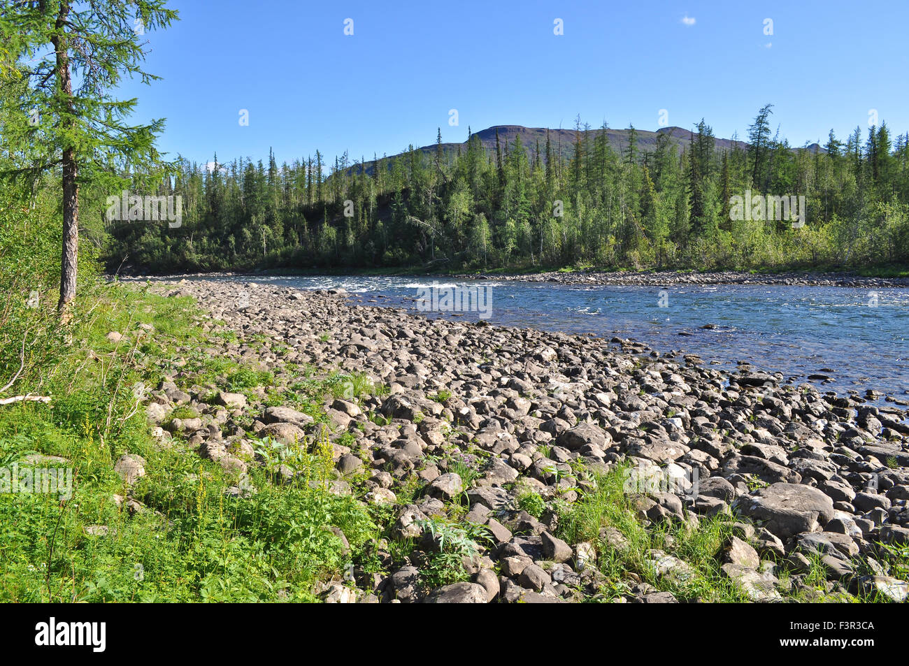 Rivière de galets sur le plateau de Putorana Nakta. Paysage d'été l'eau de la rivière de montagne. Banque D'Images