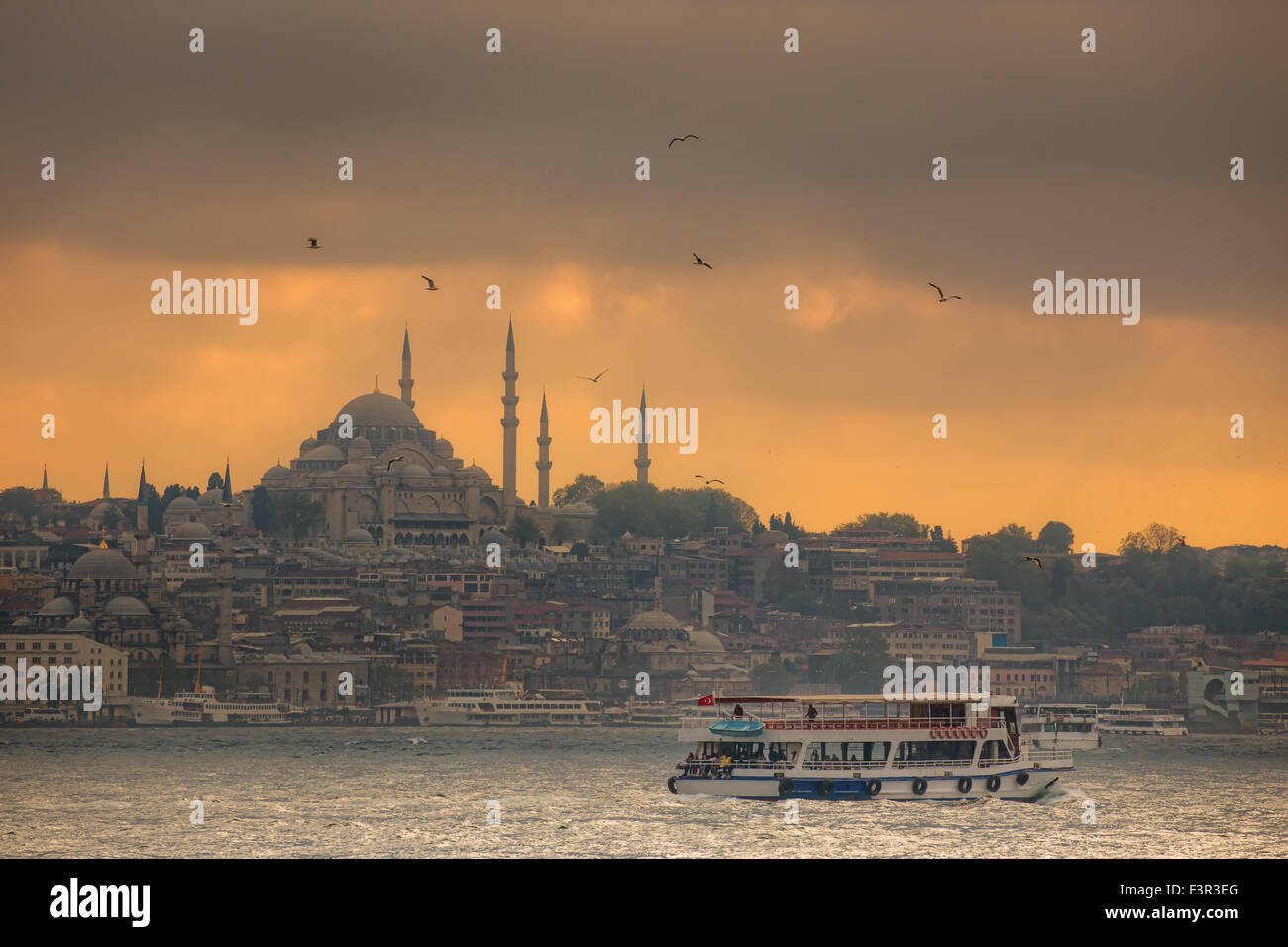 Istanbul ferry naviguant dans la mer et le Bosphore, la Turquie Banque D'Images