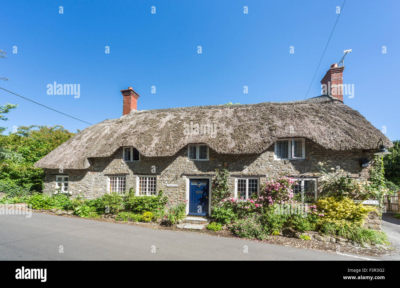 Jolie maison en pierre au toit de chaume à Evershot, un petit village dans le Dorset, dans le sud de l'Angleterre, en été avec ciel bleu Banque D'Images