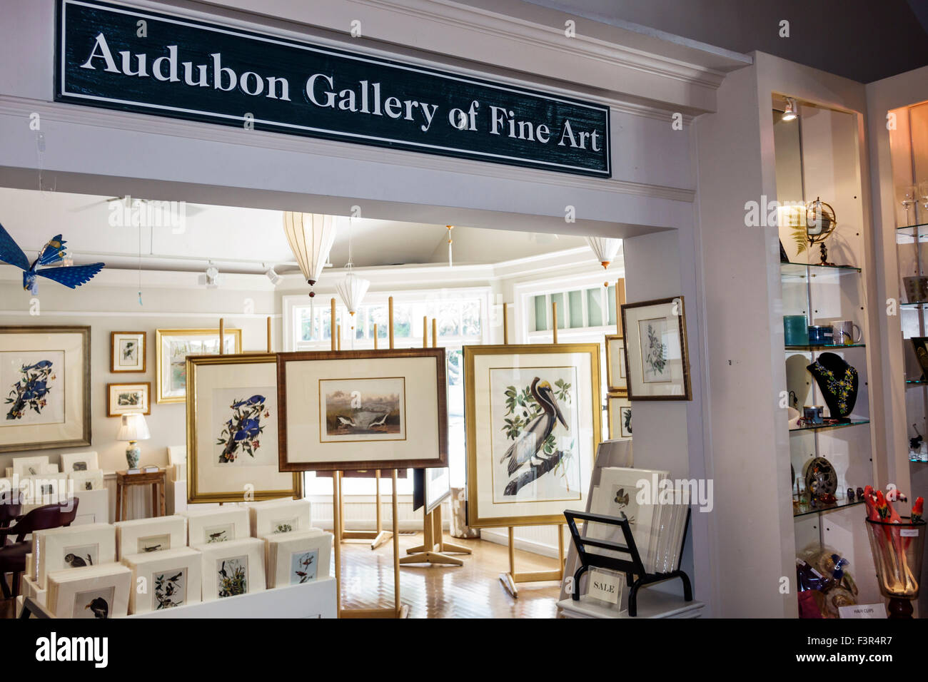 Key West Florida,Keys,Old Town,Audubon House & Tropical Gardens,intérieur,Galerie des Beaux-Arts,vente de vitrine,vente de vitrine shopping shopper sh Banque D'Images
