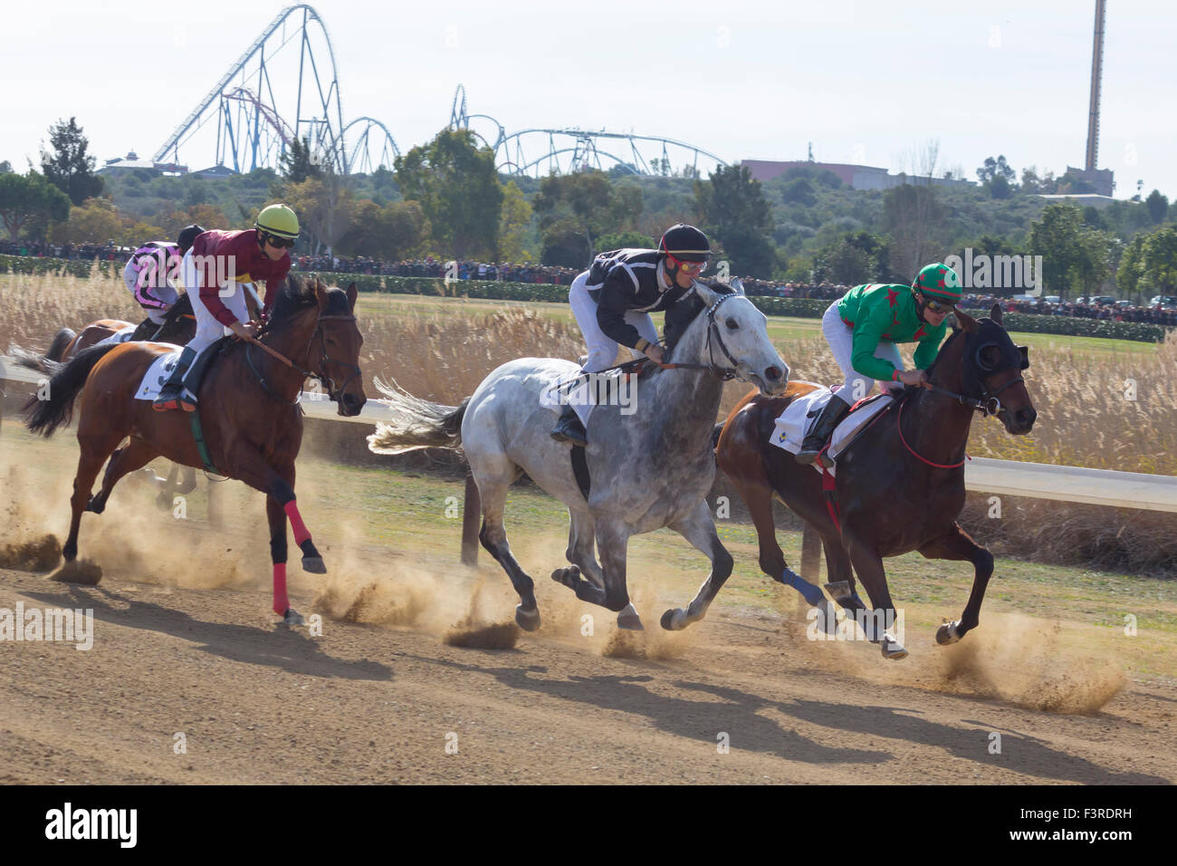 Les jockeys de l'équitation pendant une compétition à l'hippodrome Banque D'Images