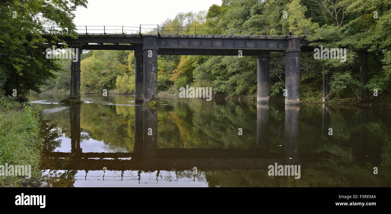 Pont de chemin de fer désaffectée reliant Vervins inférieur à Welsh Bicknor sur la rivière Wye Banque D'Images