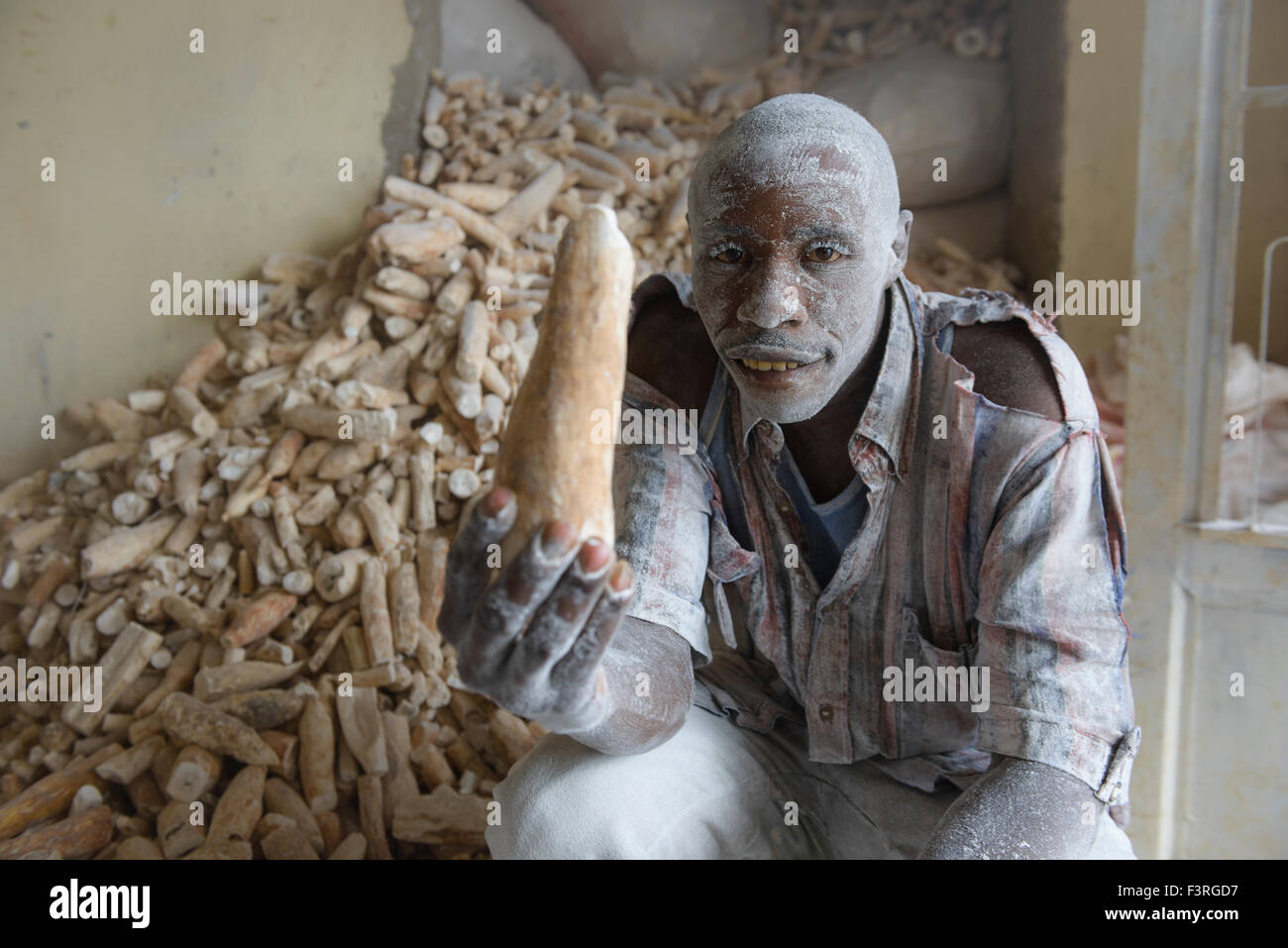 Produire des travailleurs, du manioc, de l'Afrique Burundi Banque D'Images