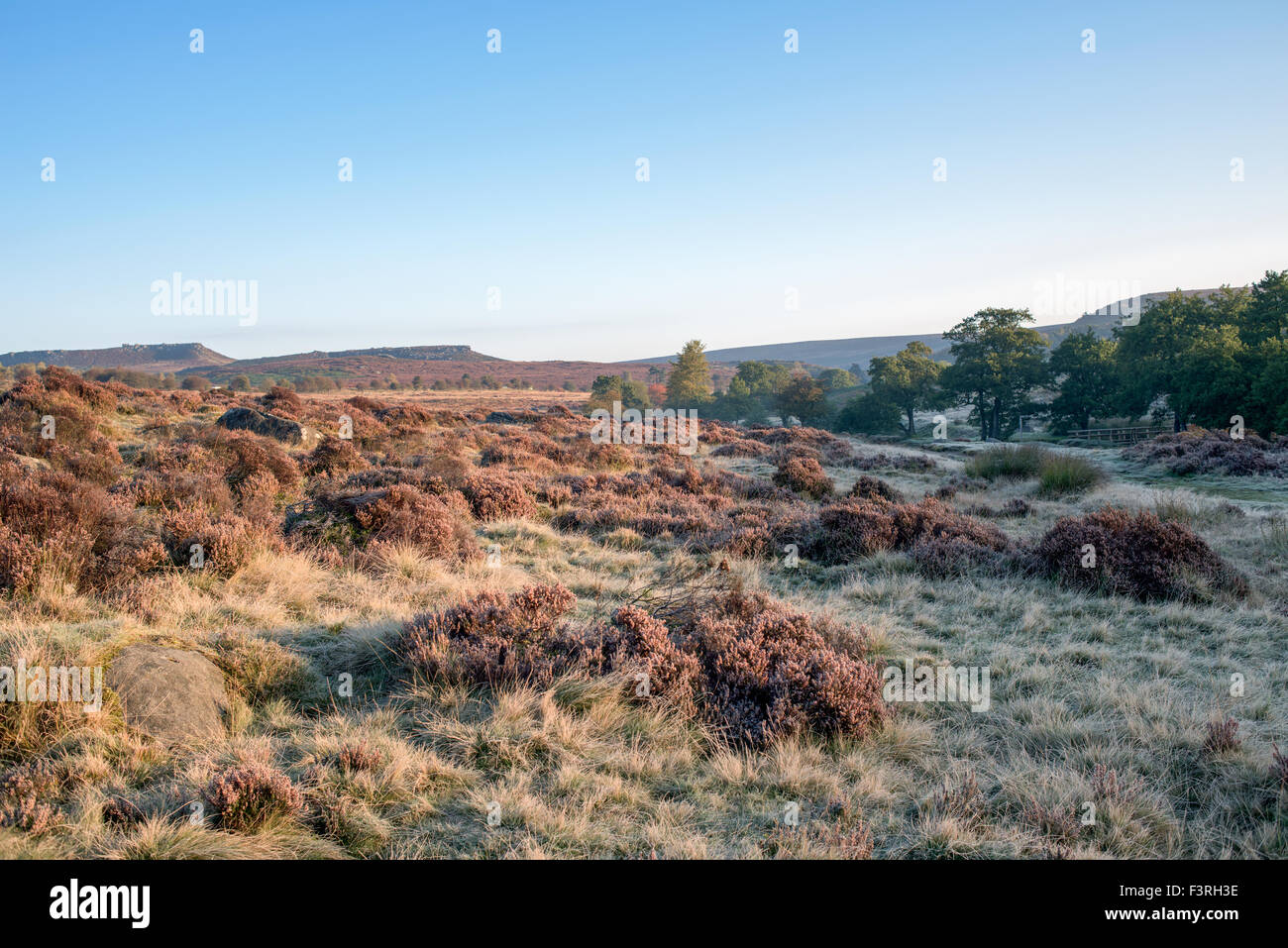 Padley Gorge, Grindleford, Derbyshire, UK:12 Octobre 2015.démarrage à froid glacial aujourd'hui à travers la région de la vallée de l'espoir du Peak District.grand matin pour chien Marcheurs et randonneurs . Credit : IFIMAGE/Alamy Live News Banque D'Images