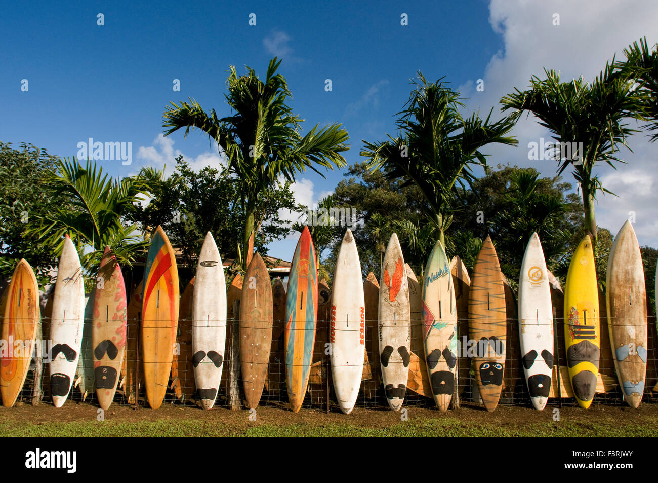 Planches de décoration dans un jardin. Huelo. Hawaii. Huelo est une petite localité située sur la route de Hana Hana (autoroute). Il i Banque D'Images
