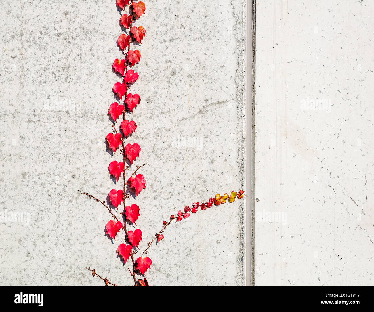 Rouge sur le mur Banque D'Images