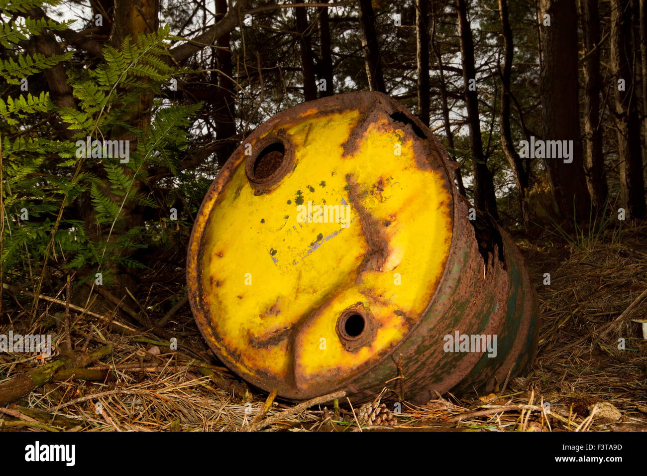 Un baril de pétrole rouillés, abandonnés dans une forêt Banque D'Images