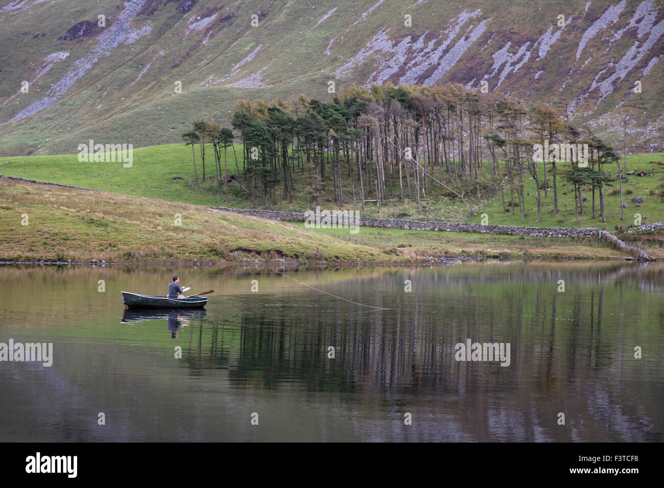 La pêche à la mouche sur Cregennan les lacs, Gwynedd, Parc National de Snowdonia, le Nord du Pays de Galles, Royaume-Uni Banque D'Images