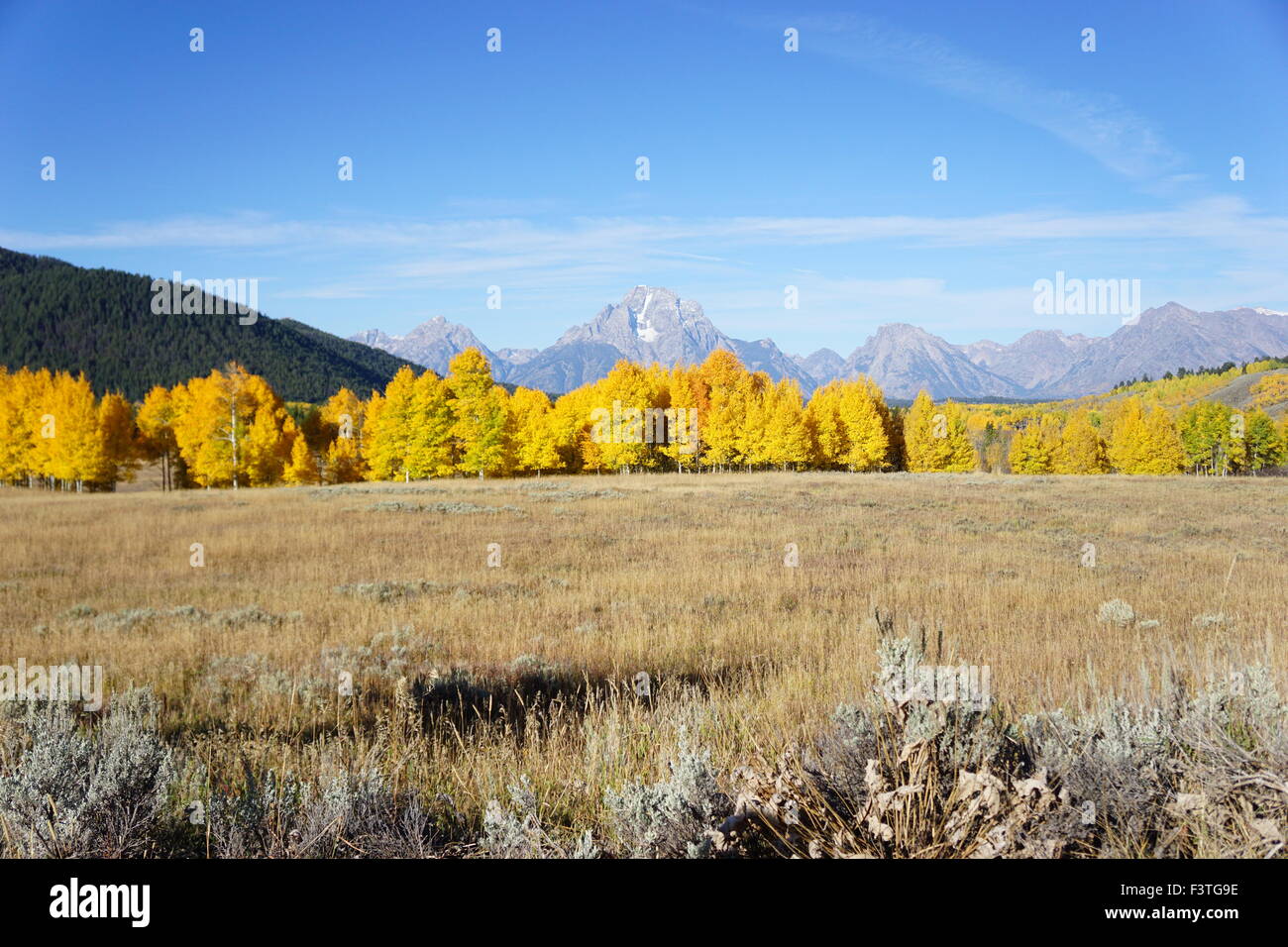 Le Grand Tetons vus de près de la Cattleman's Bridge en septembre 2015 Banque D'Images