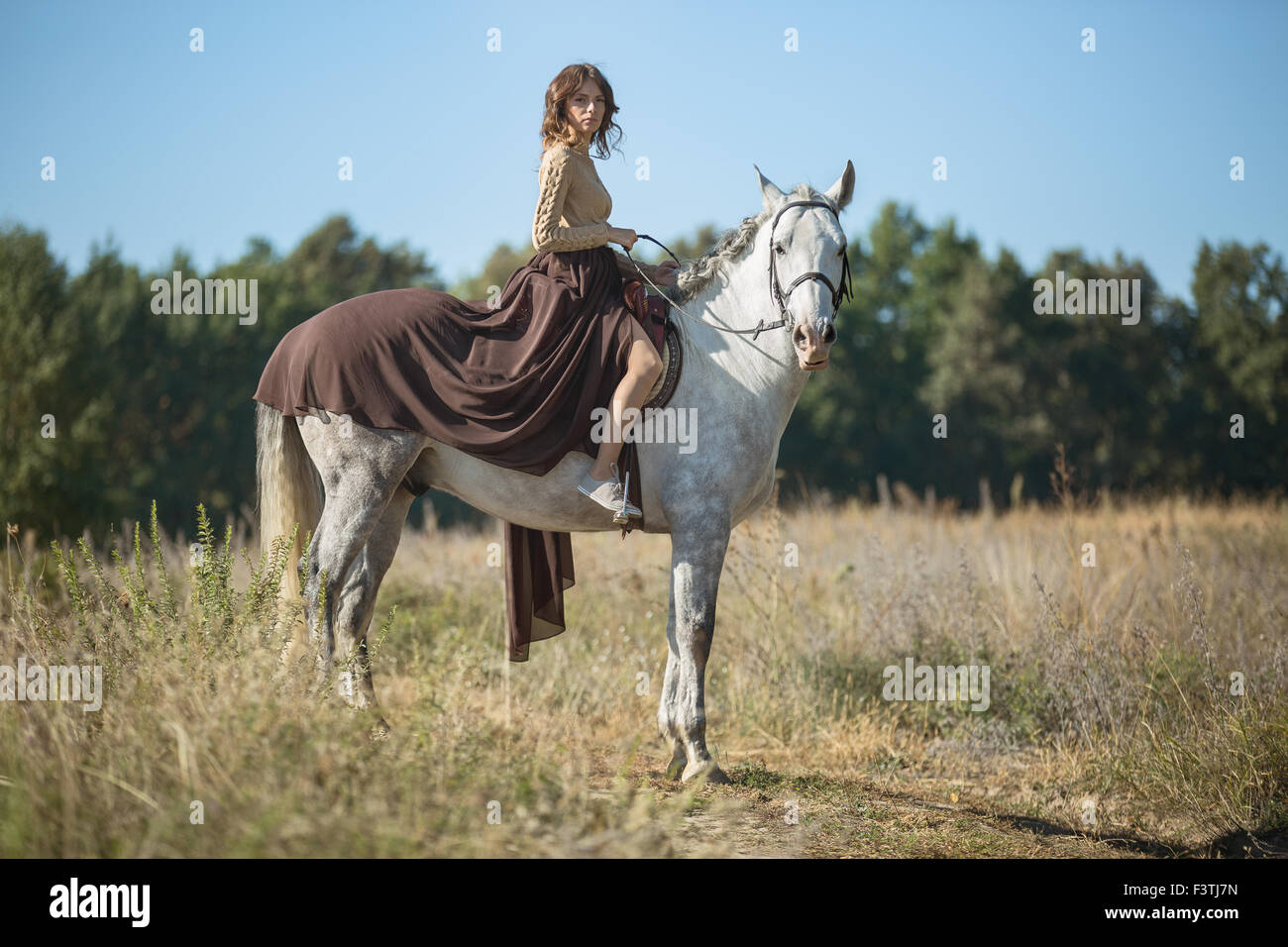 Belle fille équitation Banque D'Images