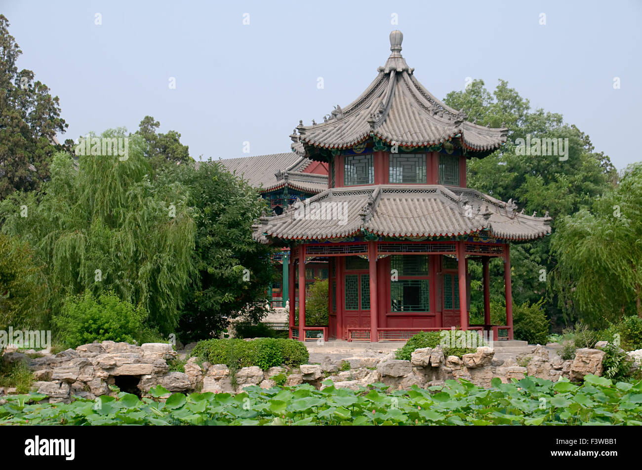 Le panorama de l'étang de lotus Banque D'Images