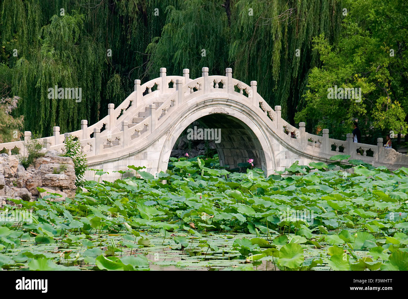 Le panorama de l'étang de lotus Banque D'Images