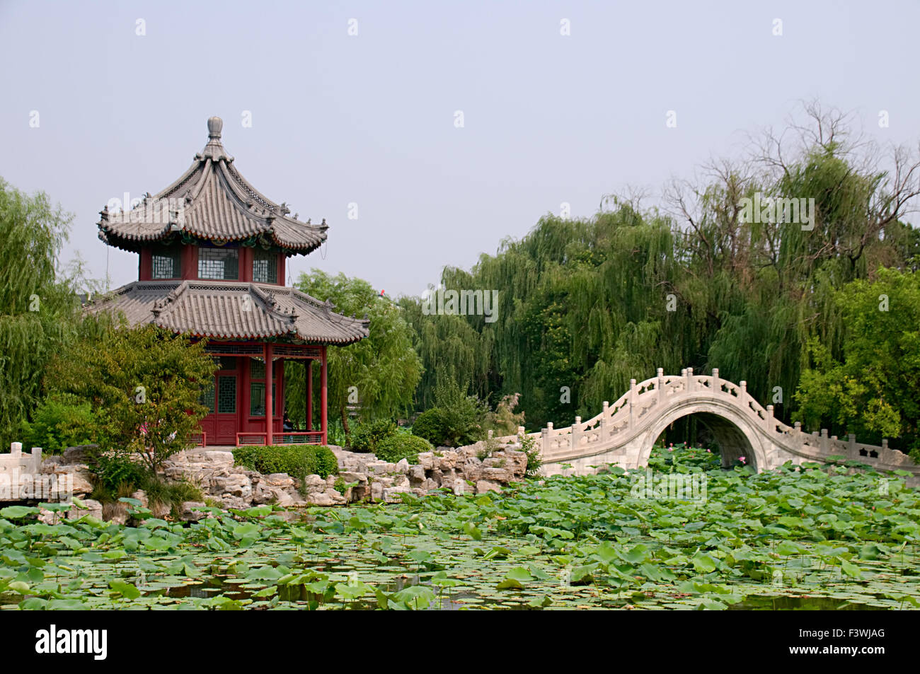 Le panorama de l'étang de lotus Banque D'Images