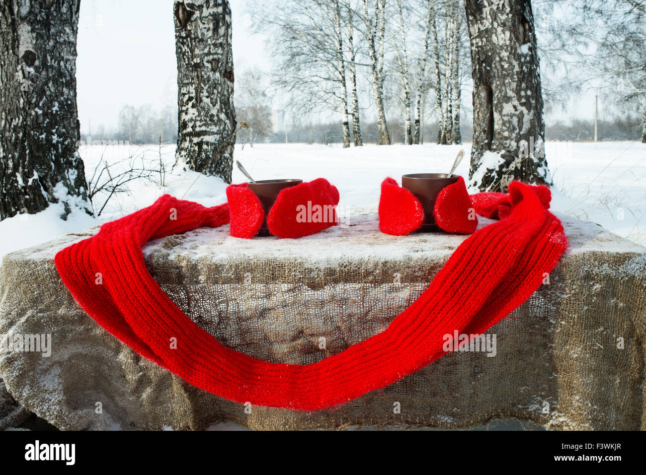 Gants tricotés avec thé et un foulard Banque D'Images