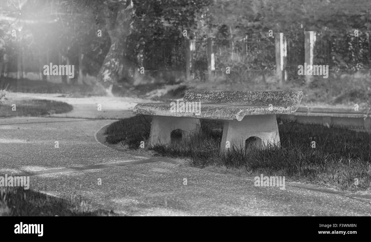 Noir et blanc, vieux banc en pierre dans le parc paisible au matin Banque D'Images