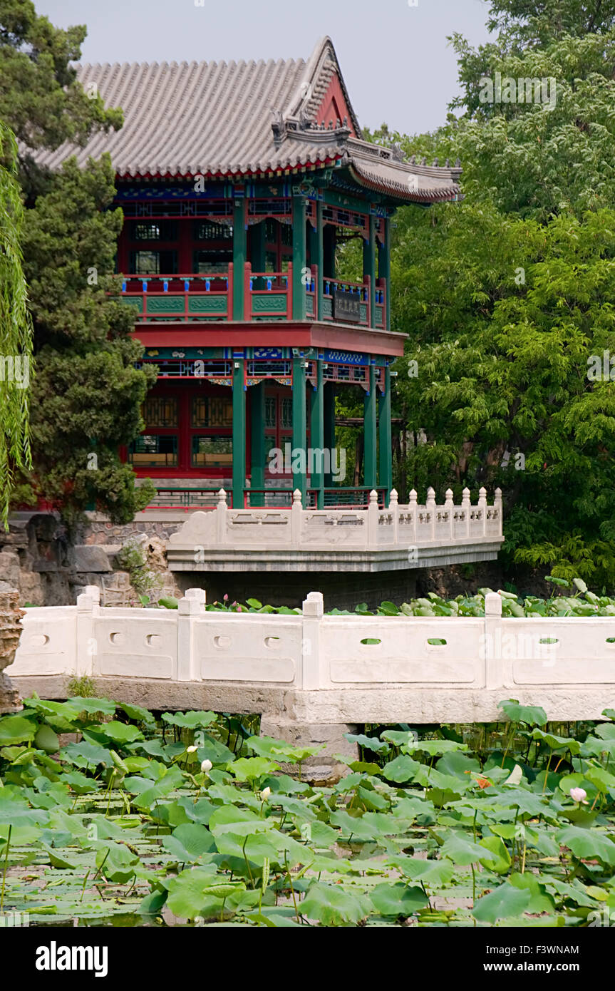 Le panorama de l'étang de lotus Banque D'Images