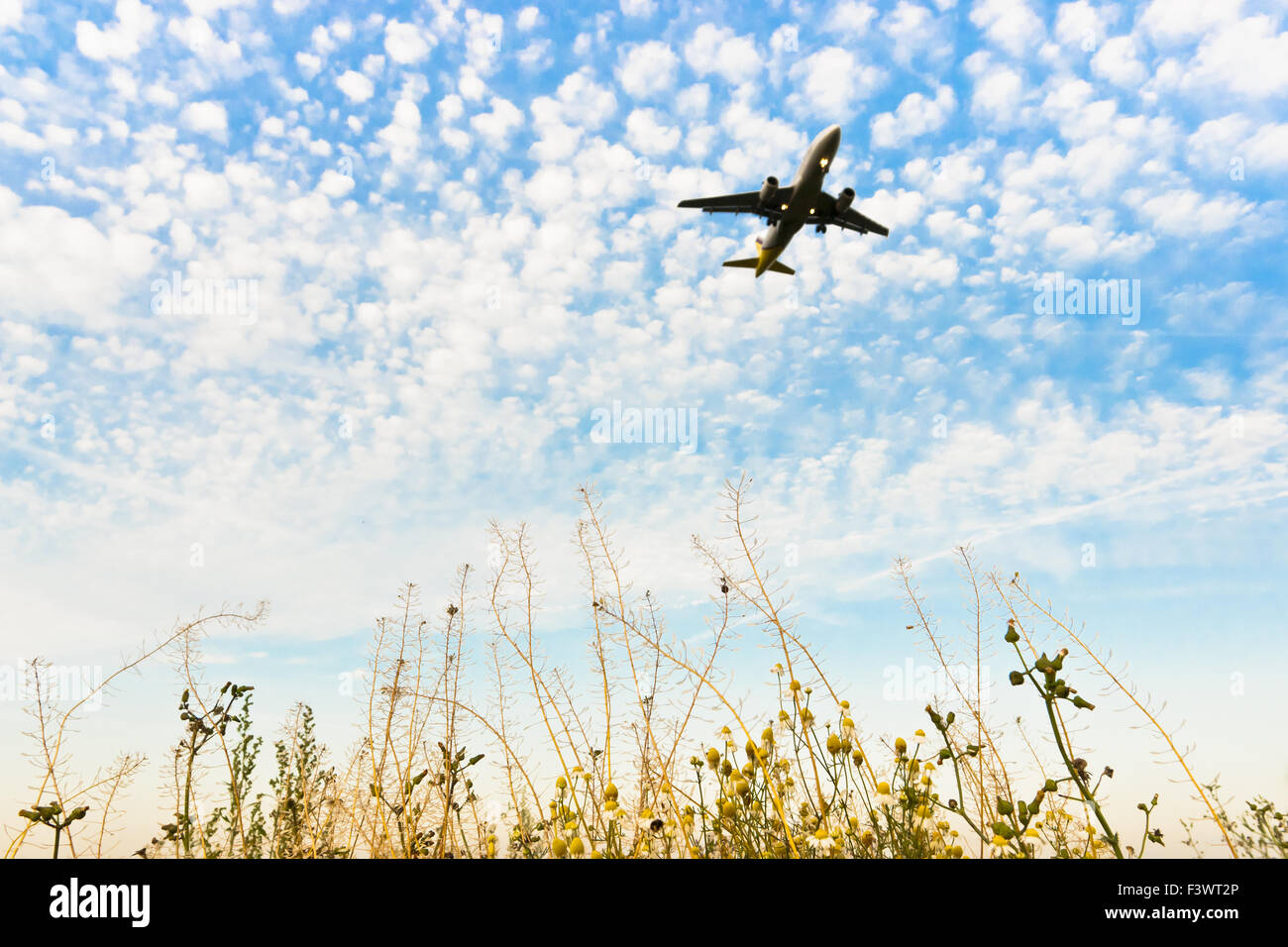 Avion contre le ciel bleu avec des nuages blancs Banque D'Images